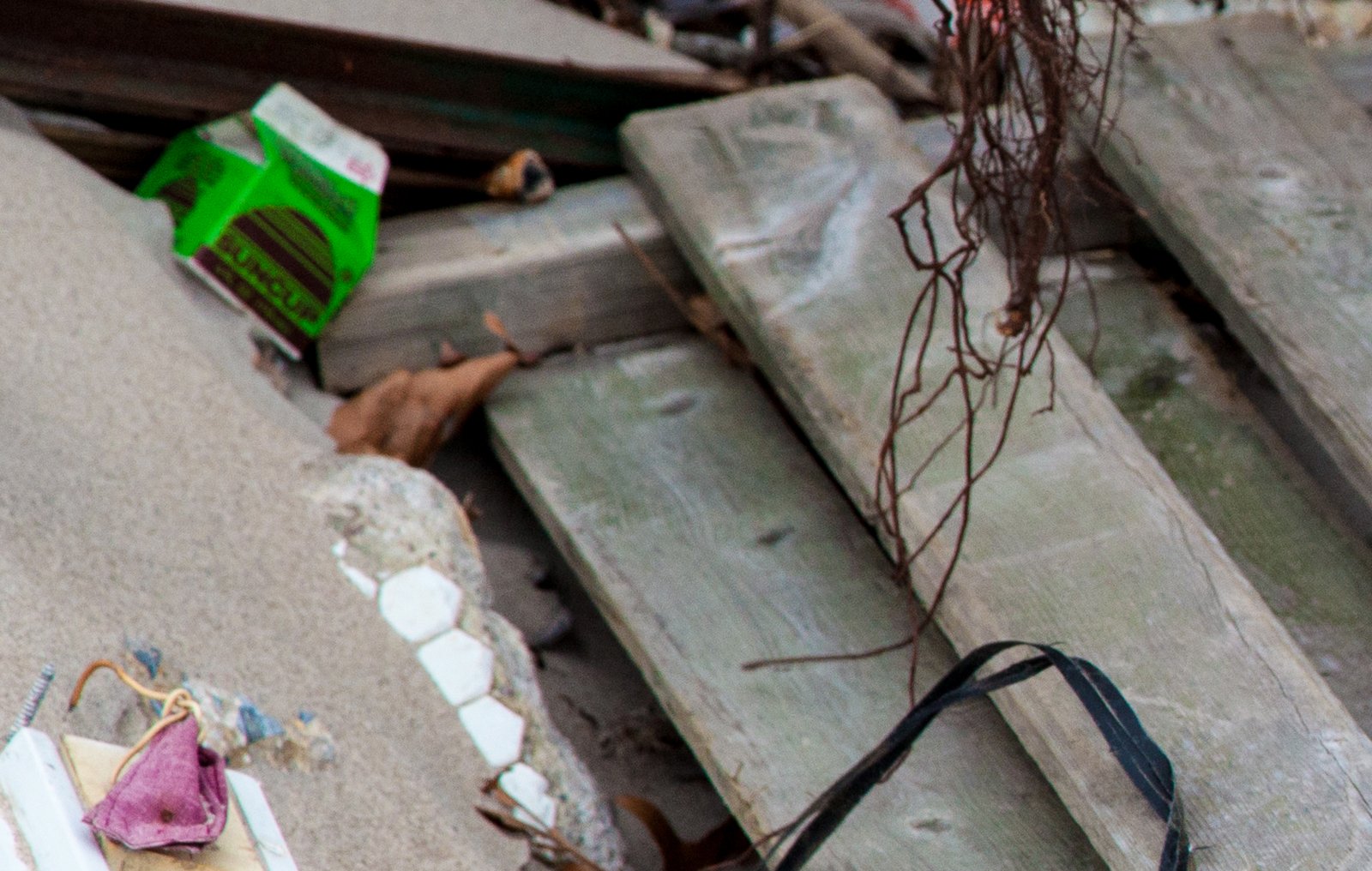 art-of-sandy-mo-seagate 2-53.jpg